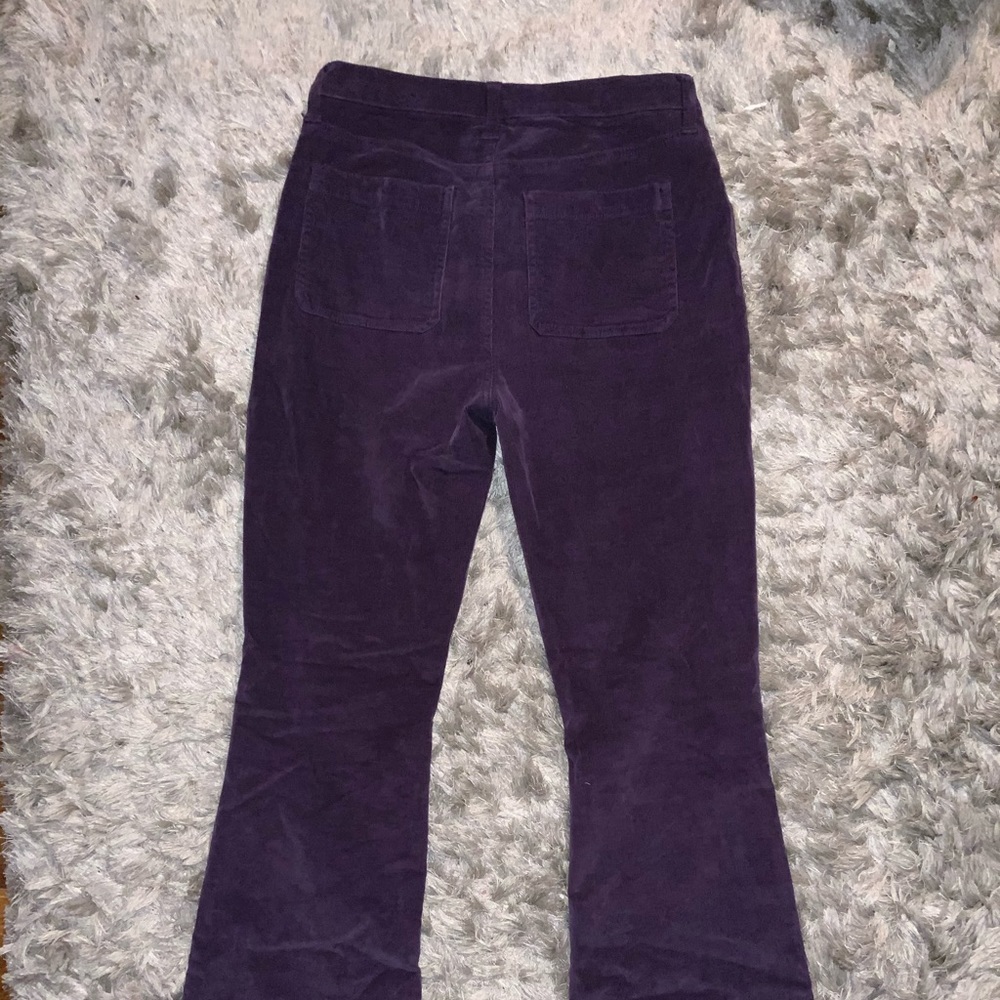 Fashion nova pants
